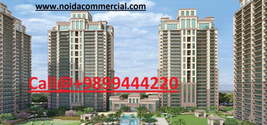 ACE Parkway Location Map